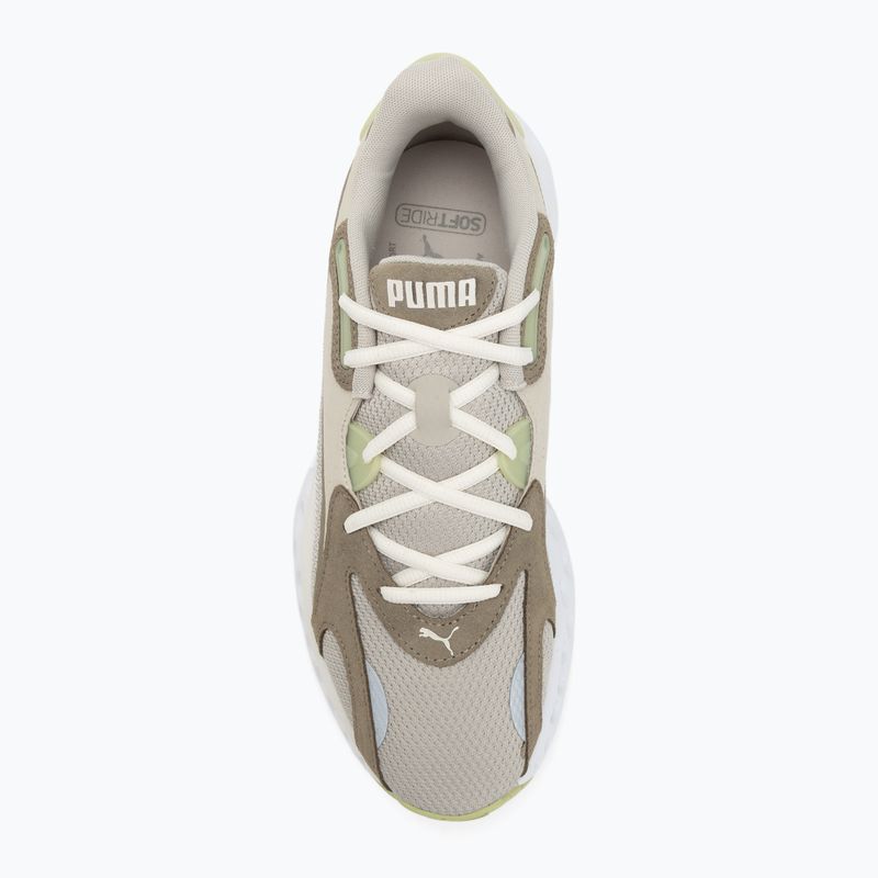 Laufschuhe PUMA Softride Frequence pistachio green/velvet moss/warm white 5