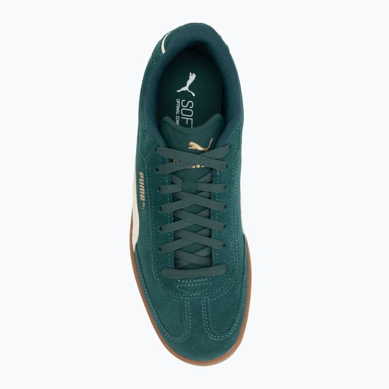 Herrenschuhe PUMA Club II Era Suede dark myrtle/alpine snow/gum 5