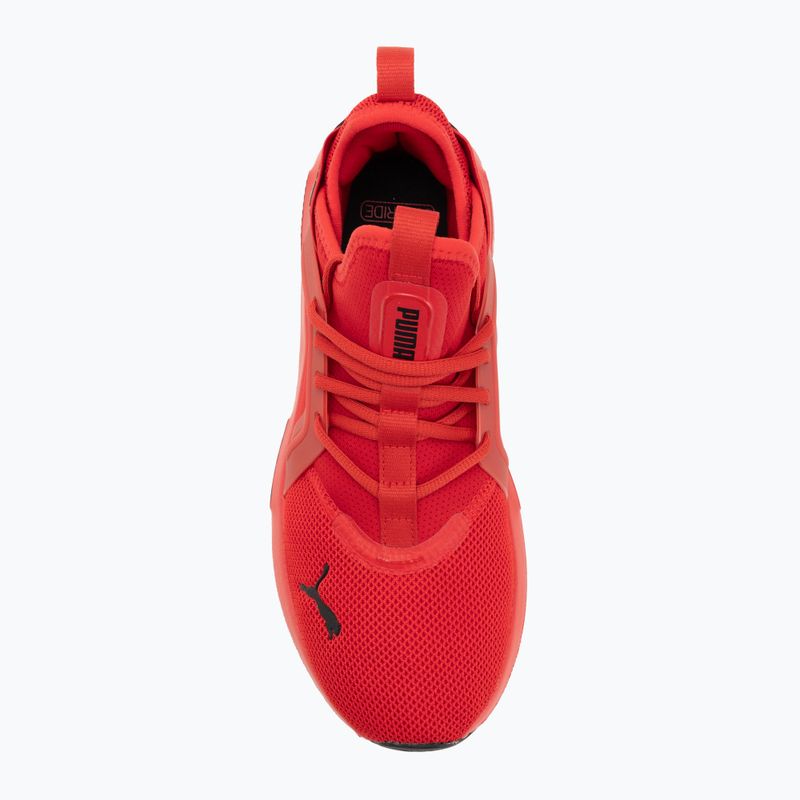 Laufschuhe PUMA PUMA Softride Enzo 5 For all time red/puma black 5