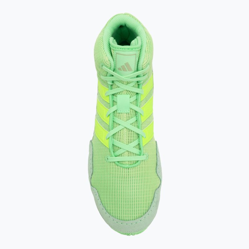 Boxschuhe adidas Speedex lime burst/lucid lemon/magic lime 5