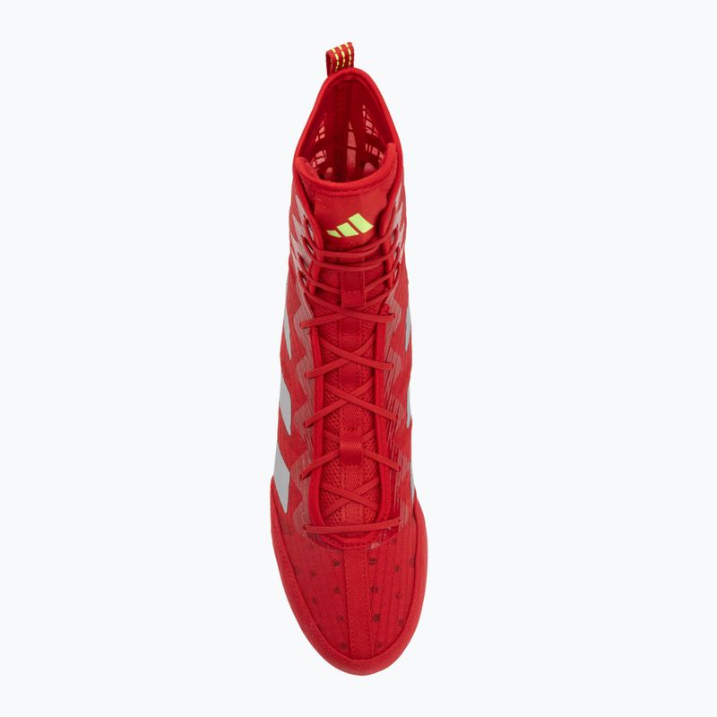 Boxschuhe adidas Box Hog 4 red 5