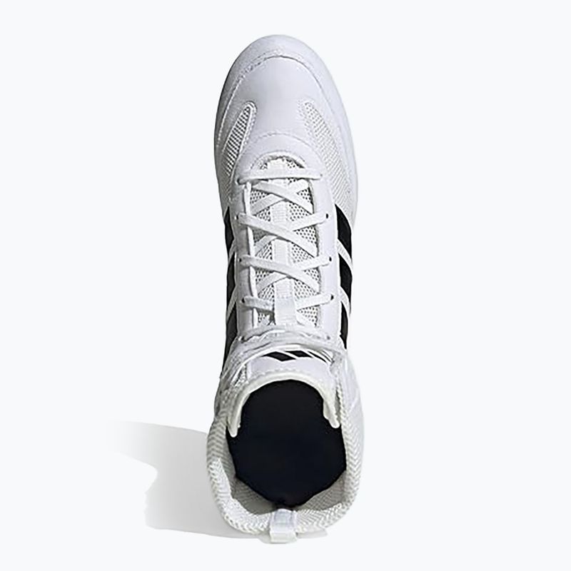 Boxschuhe adidas Box Hog Classic white 5