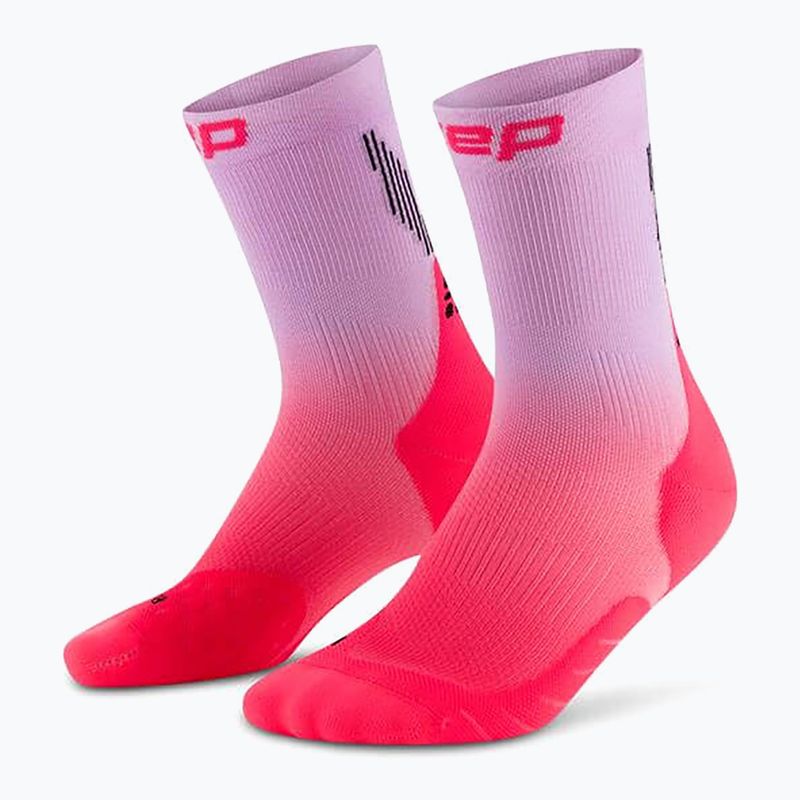 CEP Damen Kompressionssocken Run Edt. Gradient Mid Cut Compression 5.0 rosa/lila fade