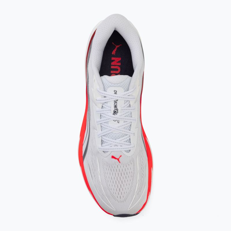 Herren-Laufschuhe Puma Velocity Nitro 5 puma white/ultra red 5