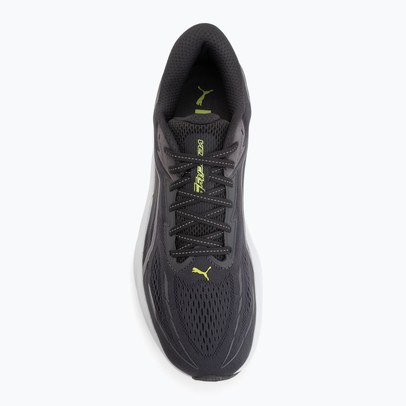 Herren-Laufschuhe Puma Velocity Nitro 5 moody gray/sunny lime 5