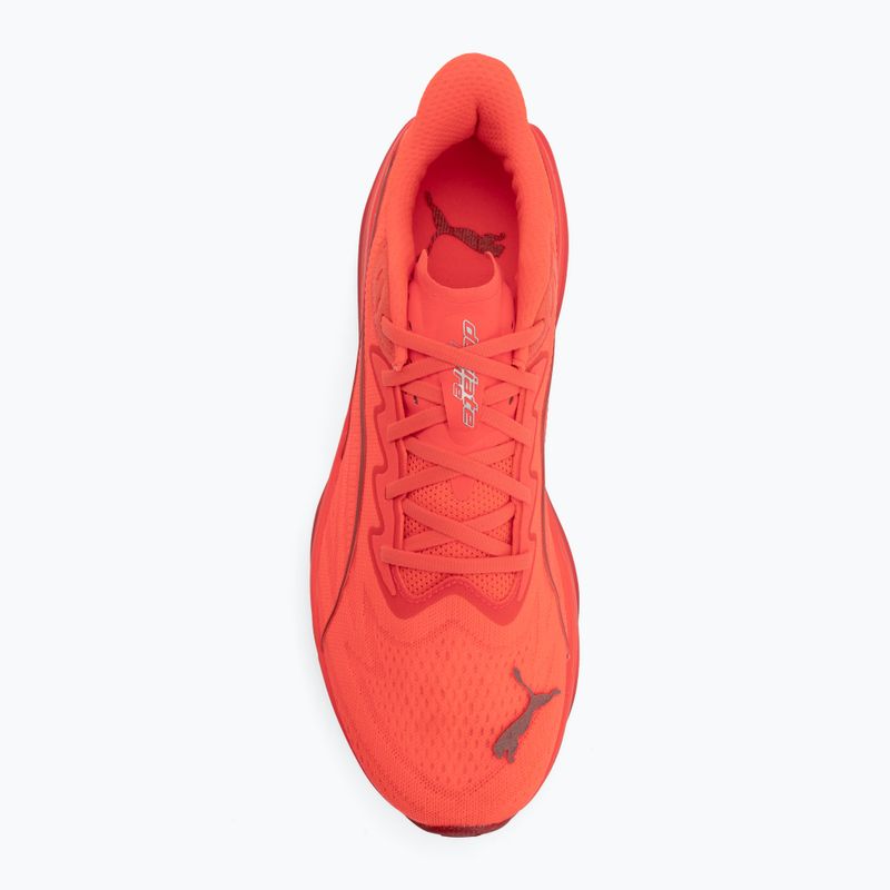 Herren-Laufschuhe Puma Deviate Pure Nitro ultra red/red rhythm 5