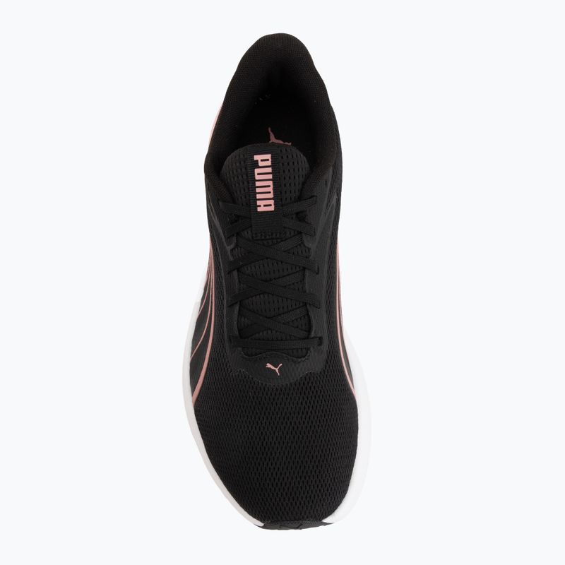 Laufschuhe Puma MaxStride Lite puma black/dusky rsewood 5