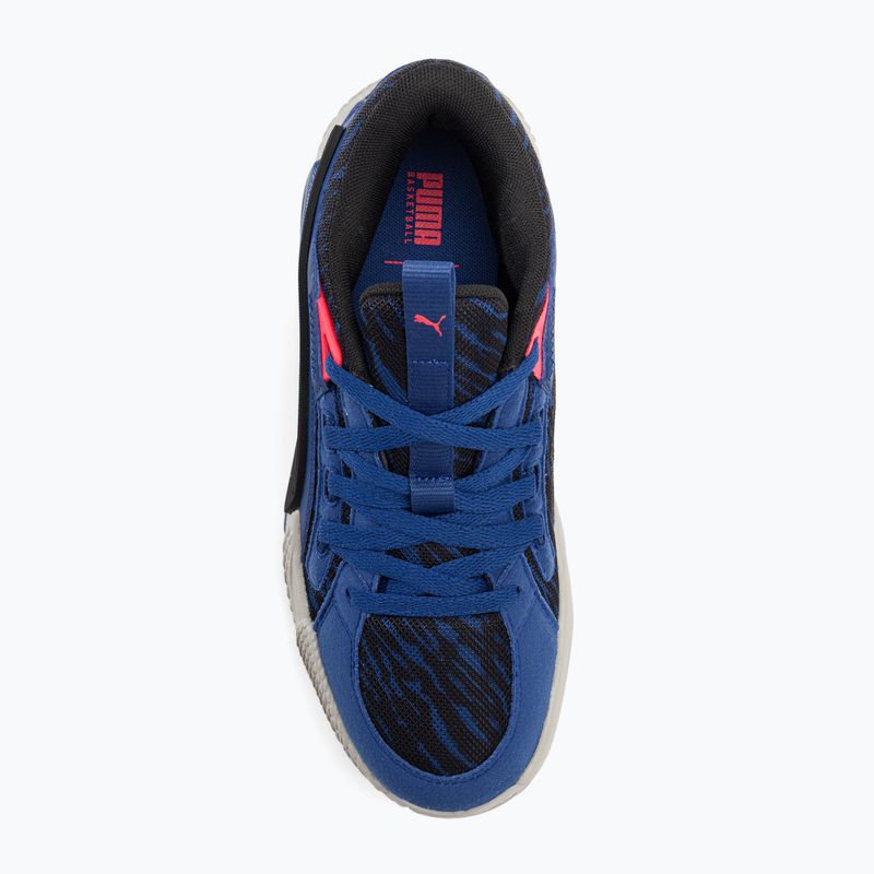 Herren Basketballschuhe PUMA Court Rider Chaos Clydes Closet clyde royal/harbor mist/puma schwarz/fire orchid 6