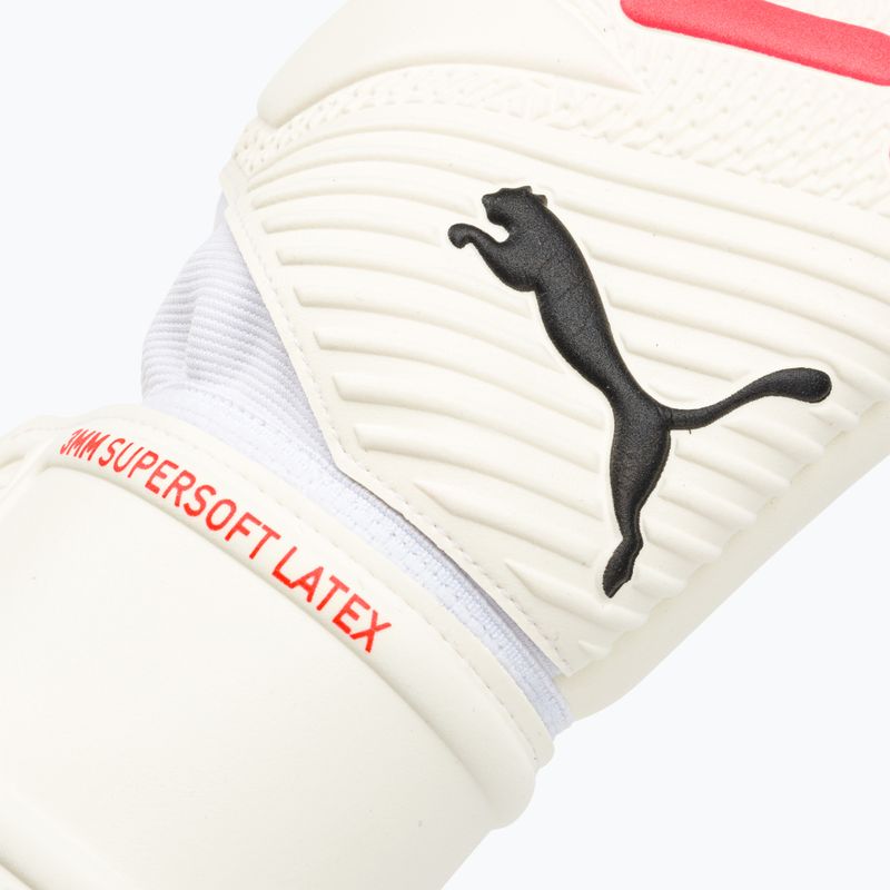 PUMA Future Match Nc Torwarthandschuhe puma weiß/Feuerorchidee