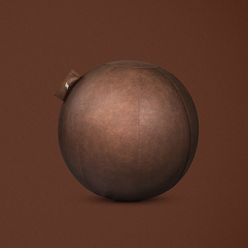 STRYVE Active Ball 65 cm naturbraun 11