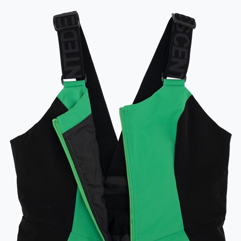Skihose Descente Velche 19 bio grün 4