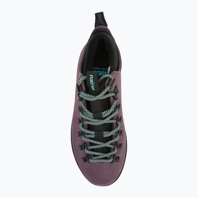 Schuhe Native NA-31106848 Fitzsimmons Citylite Bloom velvet purple/gravity grey 5