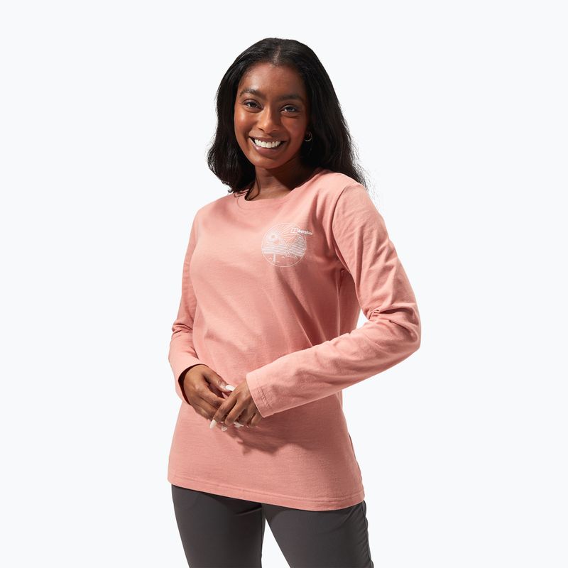 Berghaus Linear Landscape Damen Langarmshirt rose dawn