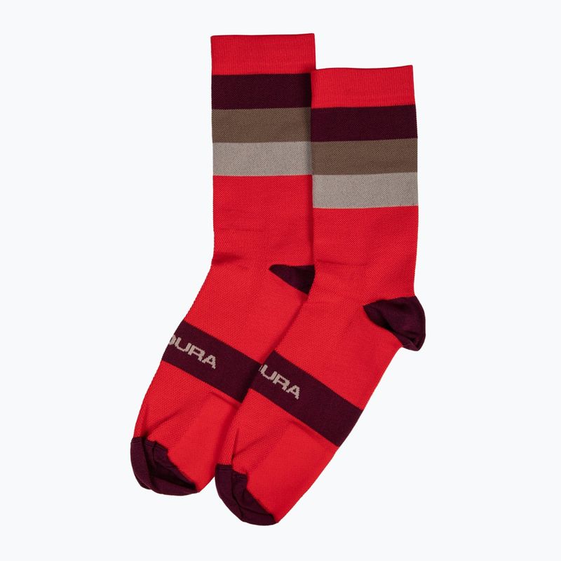 Fahrrad Socken Herren Endura Bandwidth pomegranate