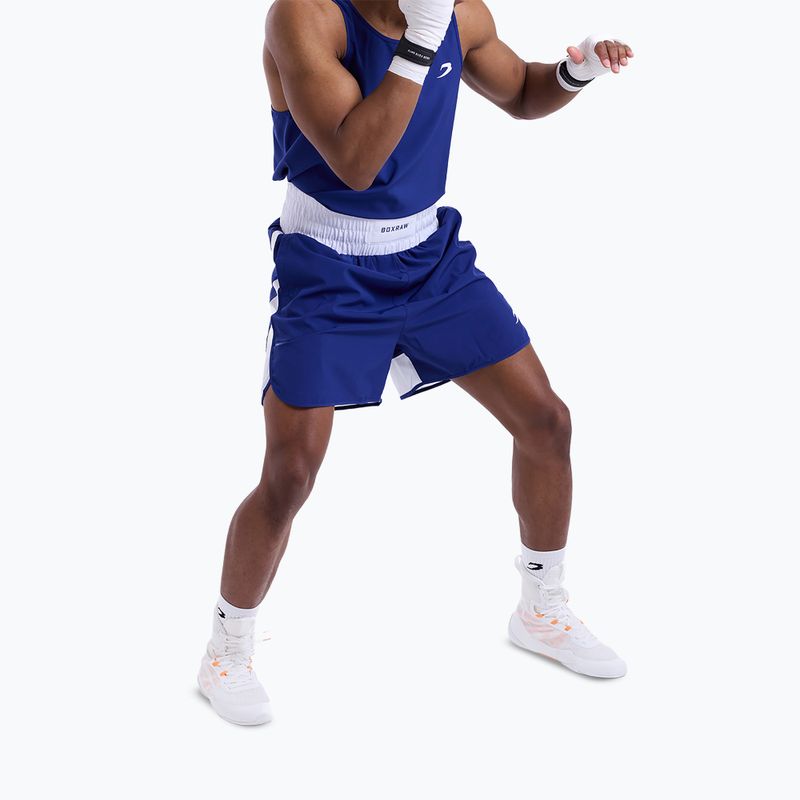 Herren-Trainingsshorts Boxraw Stevenson V2 blue/white 5