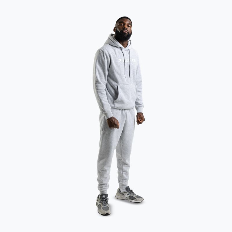 Herrenpullover Boxraw A.B.C. Hoodie grey 2