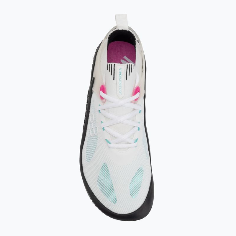 Herren Barfußschuhe Vivobarefoot Motus Strength blue tint 5