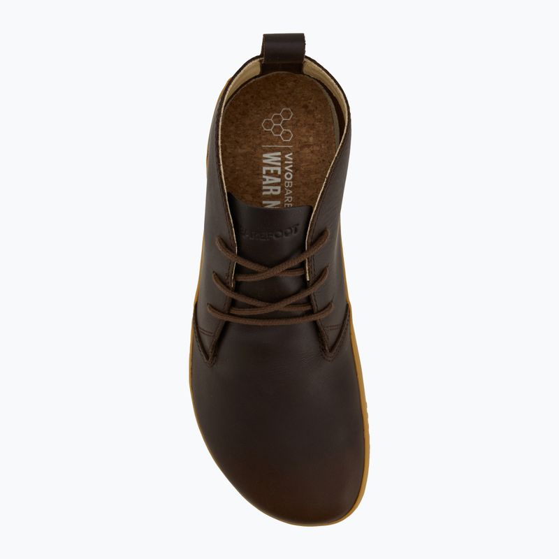 Herren Barfußschuhe Vivobarefoot Gobi IV bracken 5