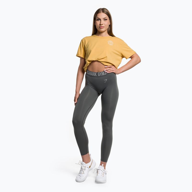 Damen Trainingsleggings Gymshark Fit anthrazitfarben 2