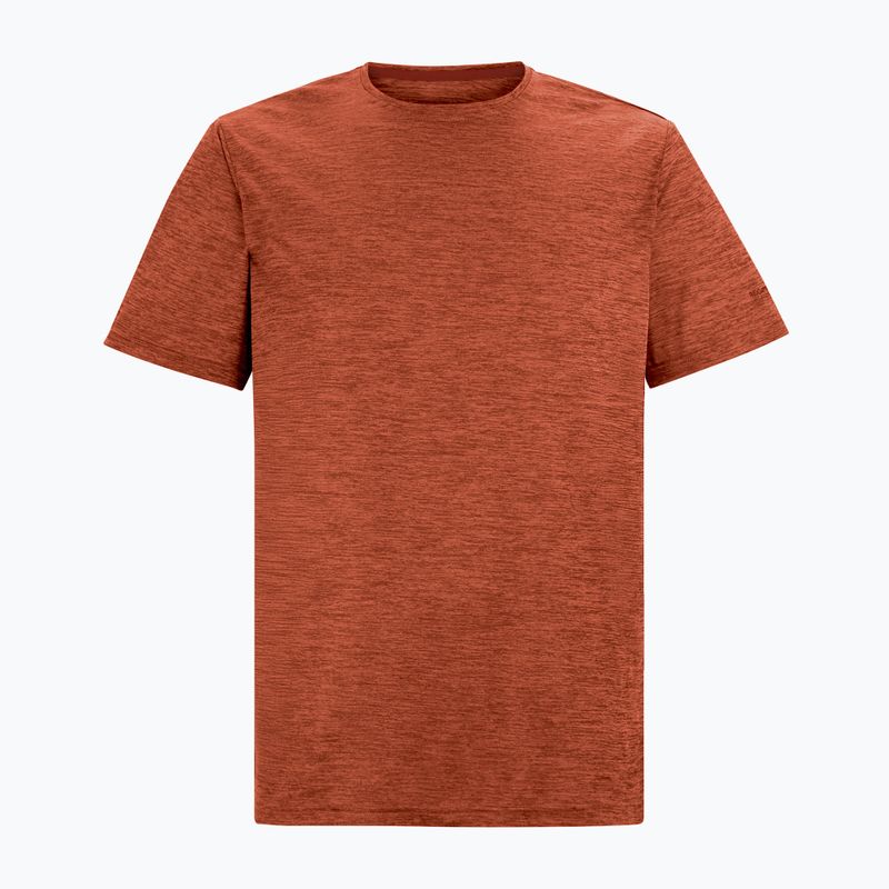 Herren-Trekkingshirt REGATTA Fingal Edition rusty orange 5