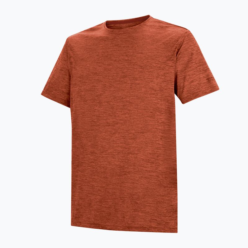 Trekkingshirt Herren REGATTA Fingal Edition rusty orange 7