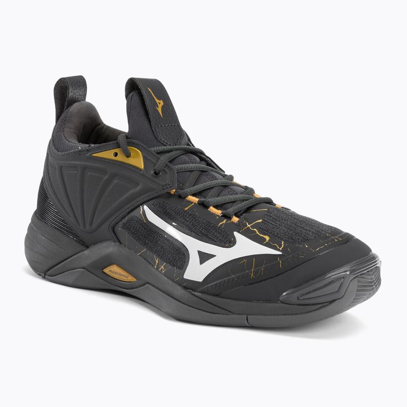 Herren Volleyballschuhe Mizuno Wave Momentum 2 V1GA211241