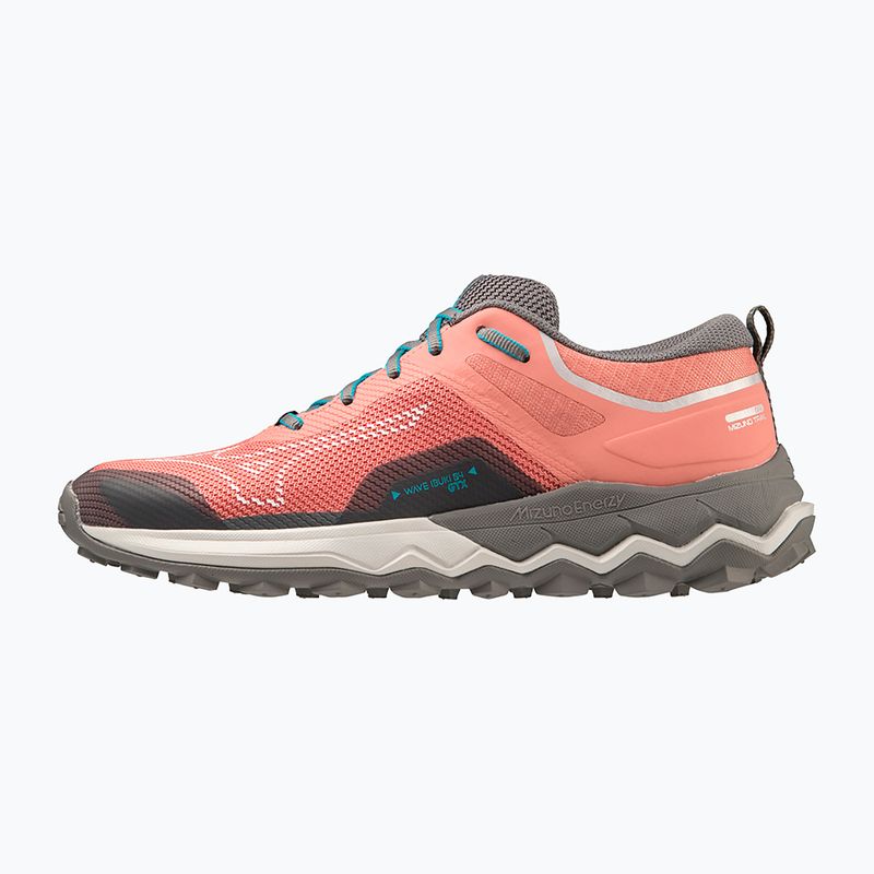 Damen Laufschuhe Mizuno Wave Ibuki 4 GTX lantana/quiet shade/buebird 12