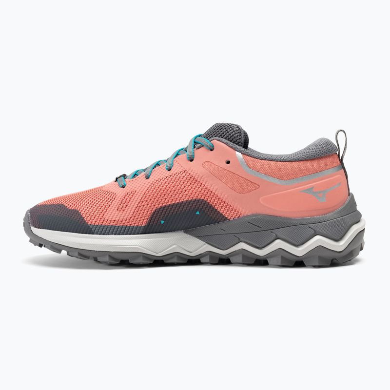 Damen Laufschuhe Mizuno Wave Ibuki 4 GTX lantana/quiet shade/buebird 10