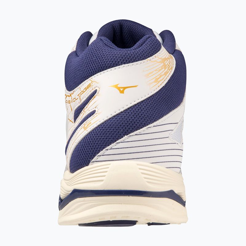 Herren Volleyball Schuhe Mizuno Wave Voltage Mid weiß / blaues Band / mp gold 8
