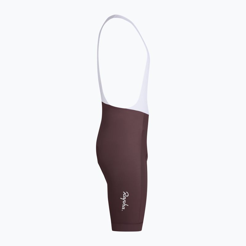 Herren-Radhose Rapha Core Bib Shorts huckleberry / white 4