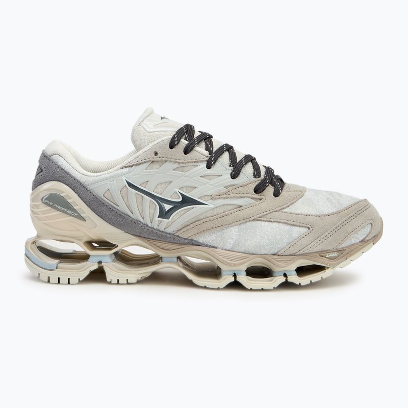 Mizuno Wave Prophecy LS nimbus cloud/magnet/silver cloud Schuhe 2