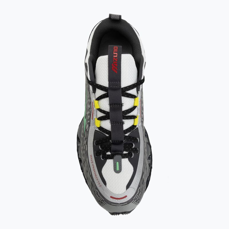 Schuhe Mizuno Wave Prophecy 13.2 quiet shade/vibrant green 5