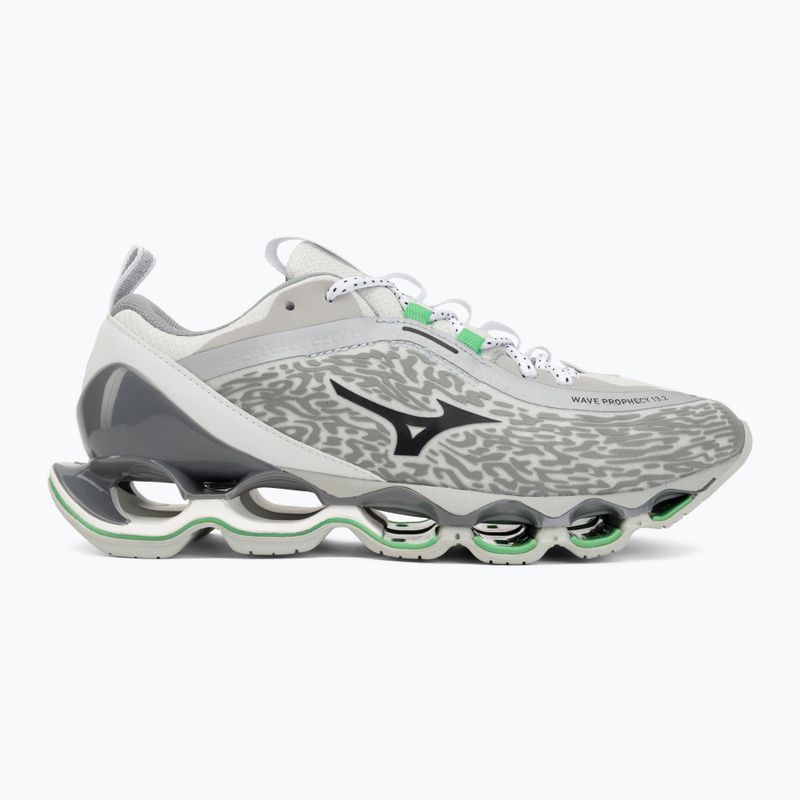 Schuhe Mizuno Wave Prophecy 13.2 harbor mist/black/vibrant green 2