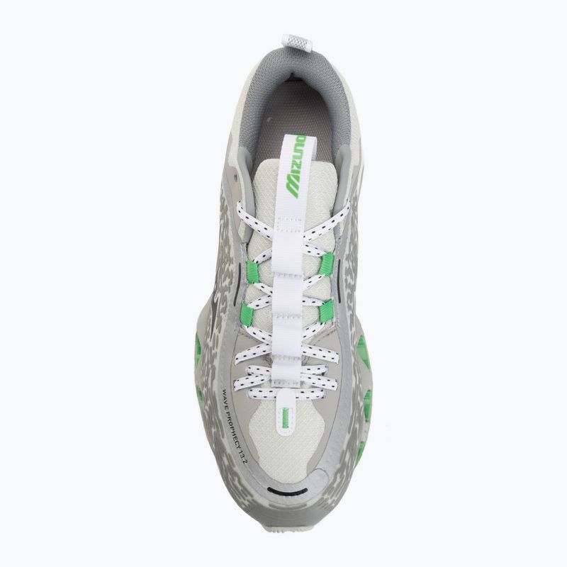 Schuhe Mizuno Wave Prophecy 13.2 harbor mist/black/vibrant green 5