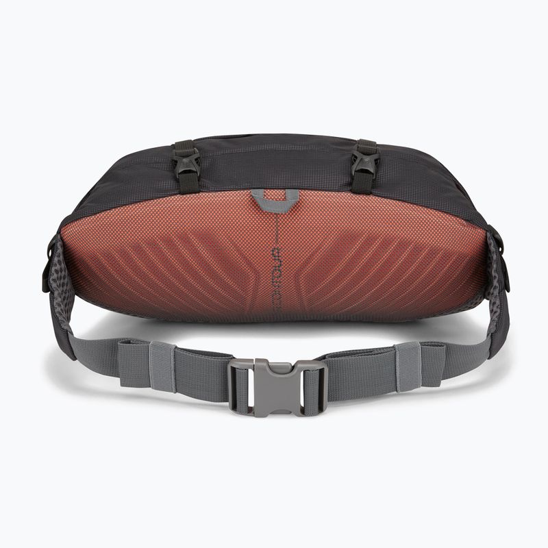 Lowe Alpine Mesa 6 schwarz Nierentasche 2