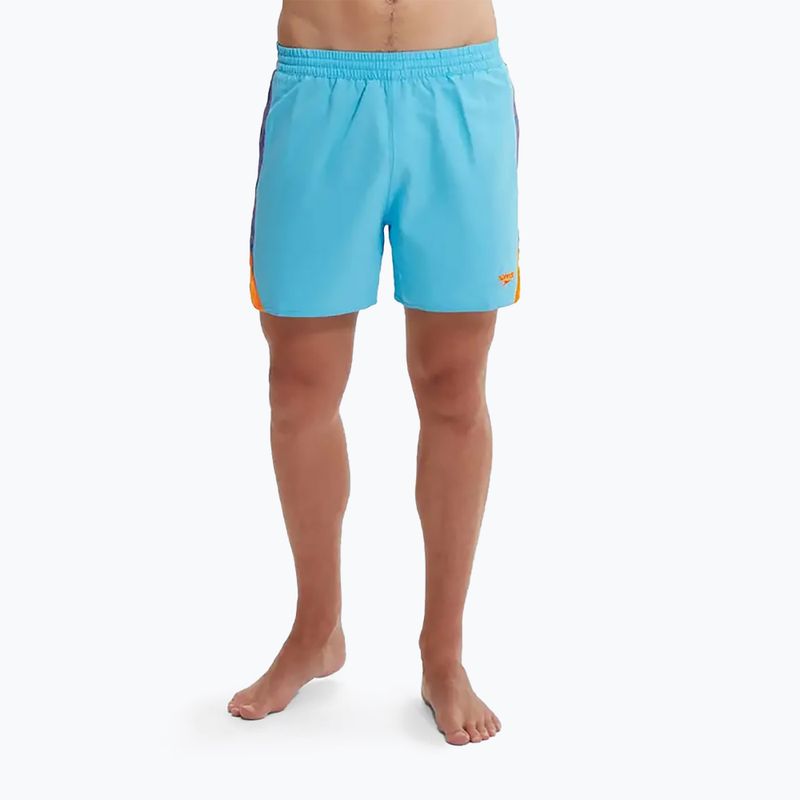 Speedo Hyperboom Splice 16" Herren Schwimmen Shorts Pikton blau/true Kobalt/Mandarin schälen