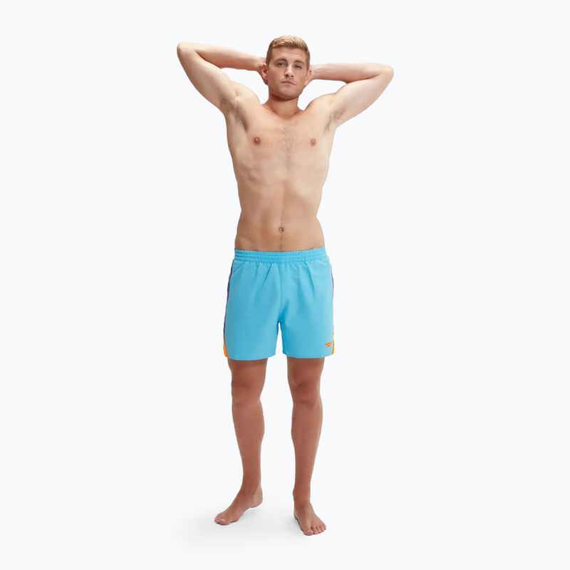 Speedo Hyperboom Splice 16" Herren Schwimmen Shorts Pikton blau/true Kobalt/Mandarin schälen 5