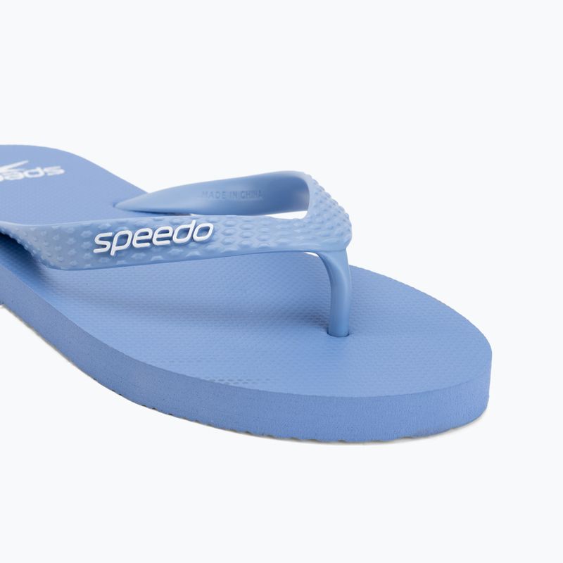 Herren Flip-Flops Speedo Flip Flop curious blue 7