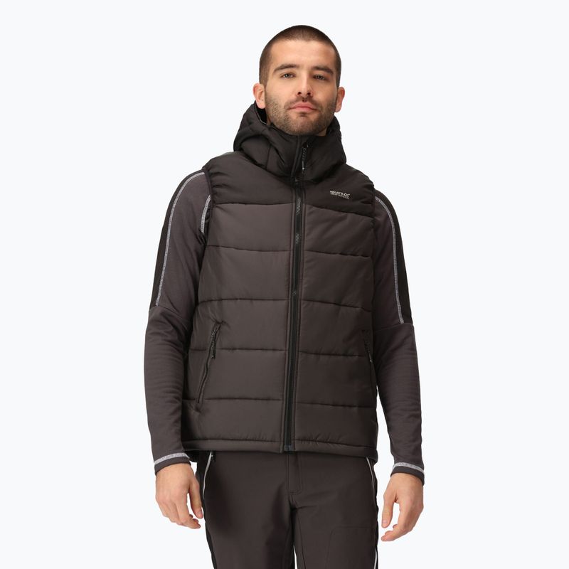 Weste Herren REGATTA Nevado B/W black/ash