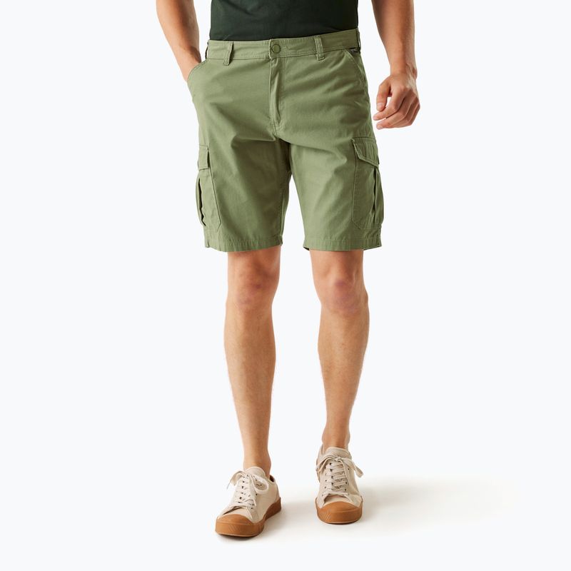 Herren-Trekkinghose REGATTA Ruwan Fauna