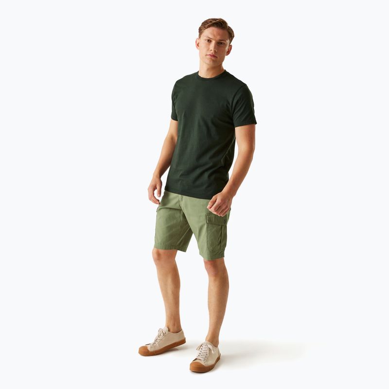 Herren-Trekkinghose REGATTA Ruwan Fauna 2