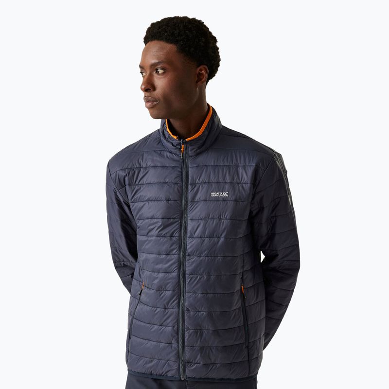 Jacke 3in1 Herren REGATTA Wentwood IX moroccan blue/navy 5