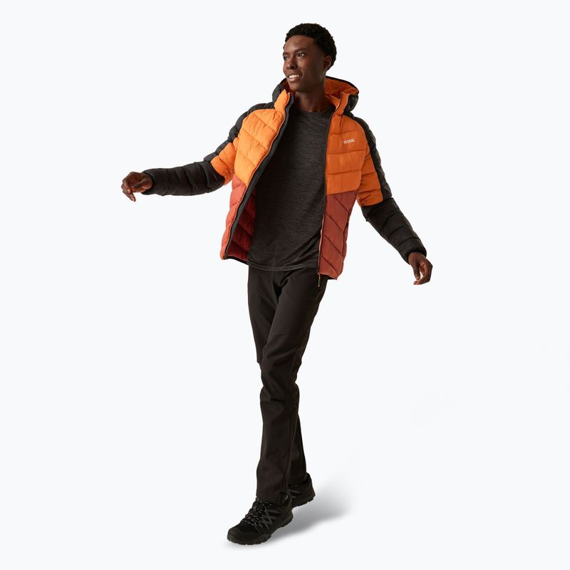 Daunenjacke Herren REGATTA Hooded Dalent fox/red ochre 2