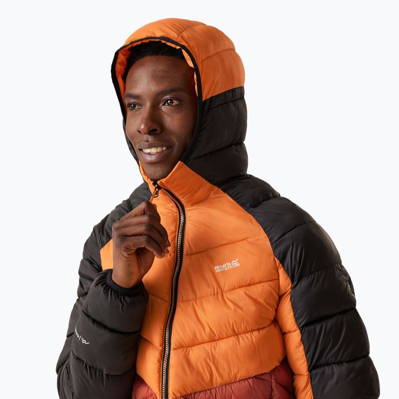 Daunenjacke Herren REGATTA Hooded Dalent fox/red ochre 4