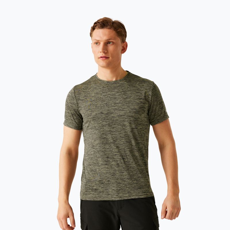 Herren-Trekkingshirt REGATTA Fingal Edition abbeystone
