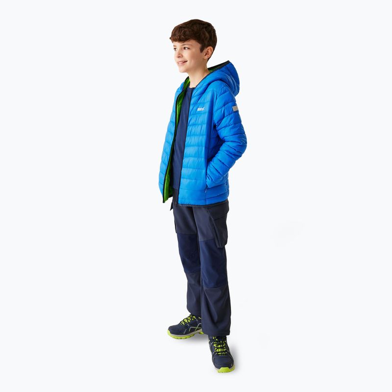 Daunenjacke Kinder REGATTA Junior Hooded Marizion olympian blue/green flash 2