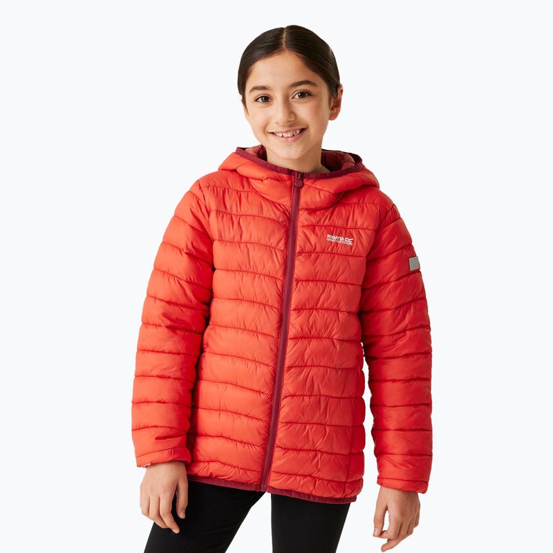 Daunenjacke Kinder REGATTA Junior Hooded Marizion red sky/mineral red