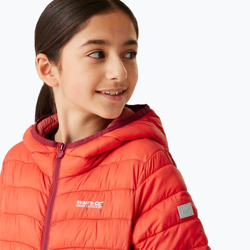 Daunenjacke Kinder REGATTA Junior Hooded Marizion red sky/mineral red 4