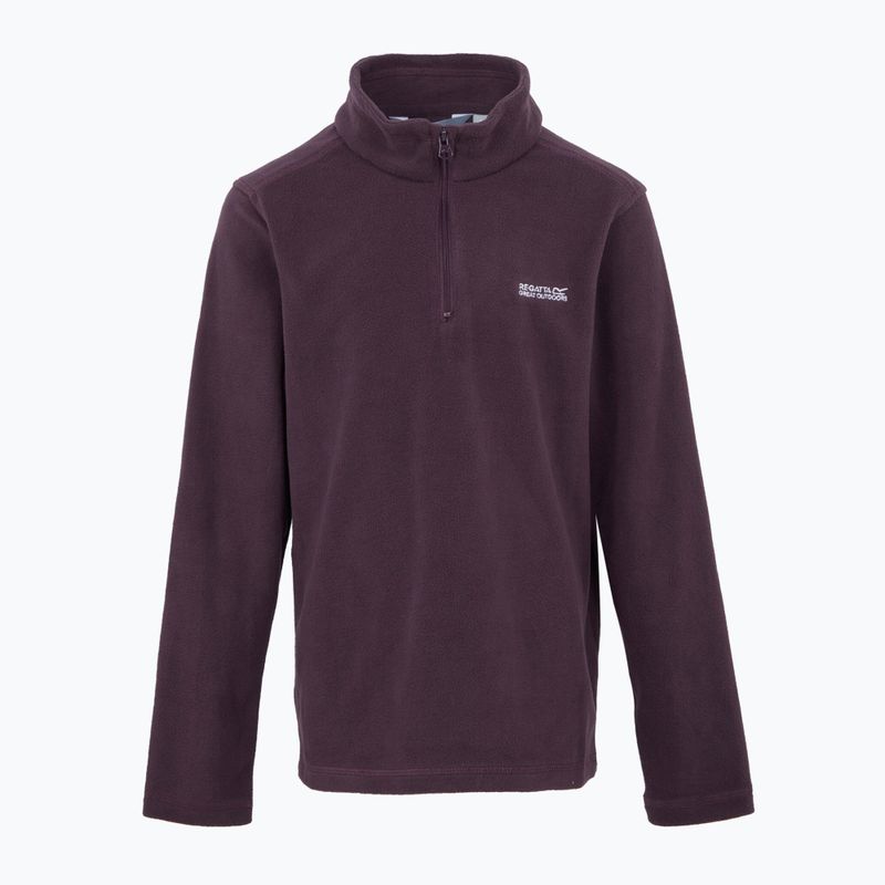 Sweatshrit Hoodie Kinder REGATTA Hot Shot II deep plum 5