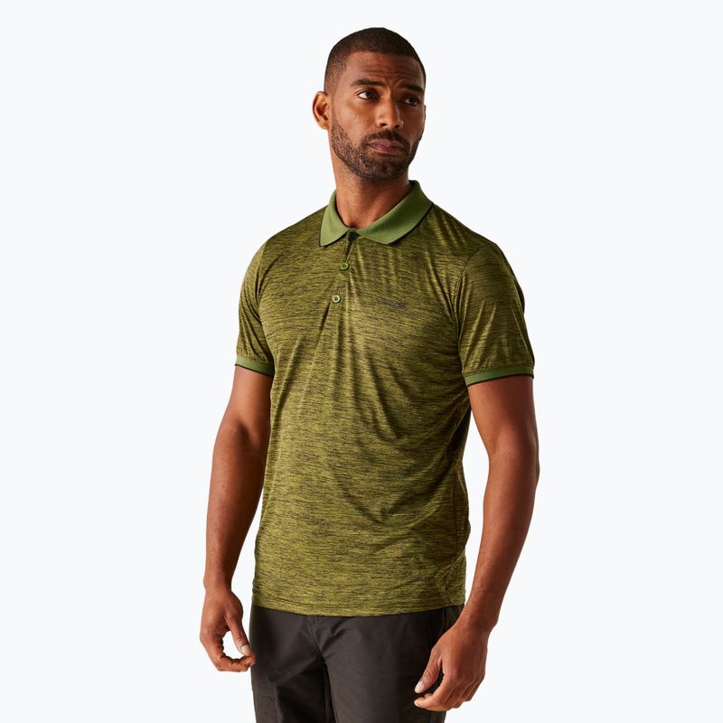 Trekking-Shirt Herren REGATTA Polo Remex II nephrite green